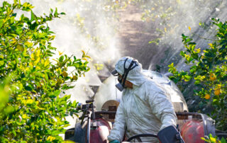 weed spraying Rio Grande County