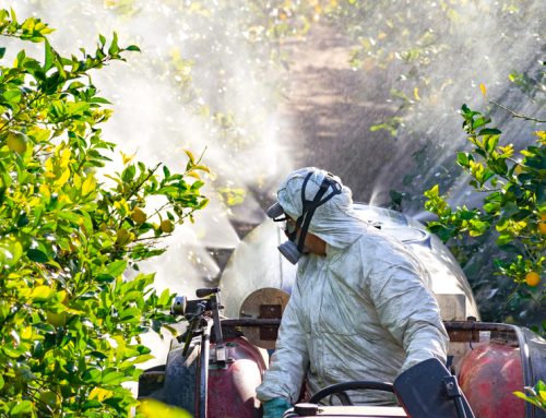 Rio Grande County Weed Spraying Activity Notice